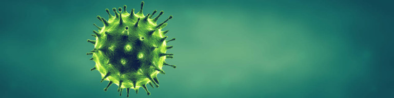 3D Grafik - Corona Virus