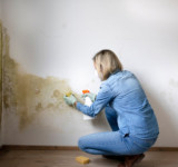 Frau reinigt Wand von Schimmelbefall